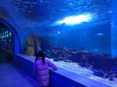-常州海昌海洋探索馆