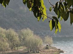 -湖景渔湾