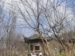 -玫瑰庄园·自助烧烤·烤全羊·团建拓展(龙泉山店)