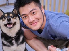 -柴迷FANS CLUB·柴犬狗咖·猫咖