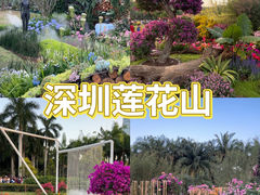 -莲花山公园