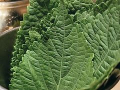 -权金城·炭火烤肉(北京联想桥店)
