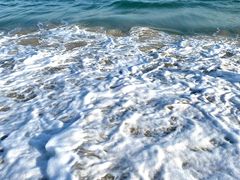 -玫瑰海岸文化旅游度假区