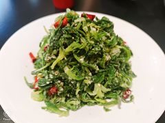 -唐河王记·南阳民间菜(国基路店)