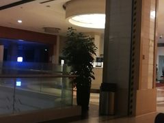 -复旦大学附属华山医院(浦东院区)