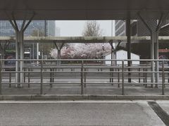 -上海长途汽车客运总站