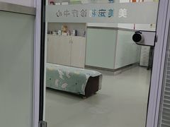 -美美宠物诊疗中心·异宠·骨科(滨江东信分院)