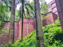 -香港大学
