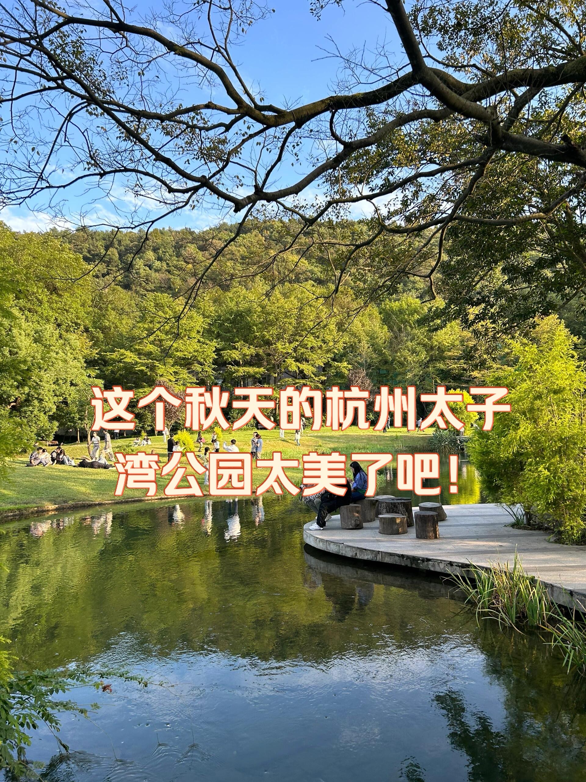 杭州太子湾门票图片