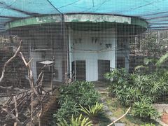 -九龙公园