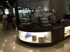 -虹桥机场国航贵宾室v8