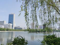 -迎泽公园
