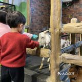 70元与小动物亲密接触