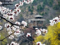 -九如山休闲旅游度假区