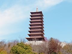 -牛首山文化旅游区