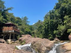 -广州白江湖森林公园