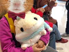 -LLJ夹机占(清河万象汇店)