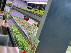 -蔡澜PHO(海岸城店)