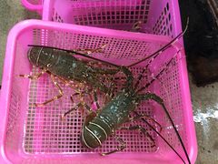 -班赞海鲜市场