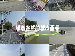 -长洲岛
