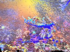 -海合安青岛极地海洋公园