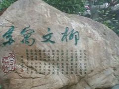 -柳侯公园