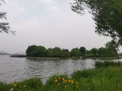 -漕湖湿地公园
