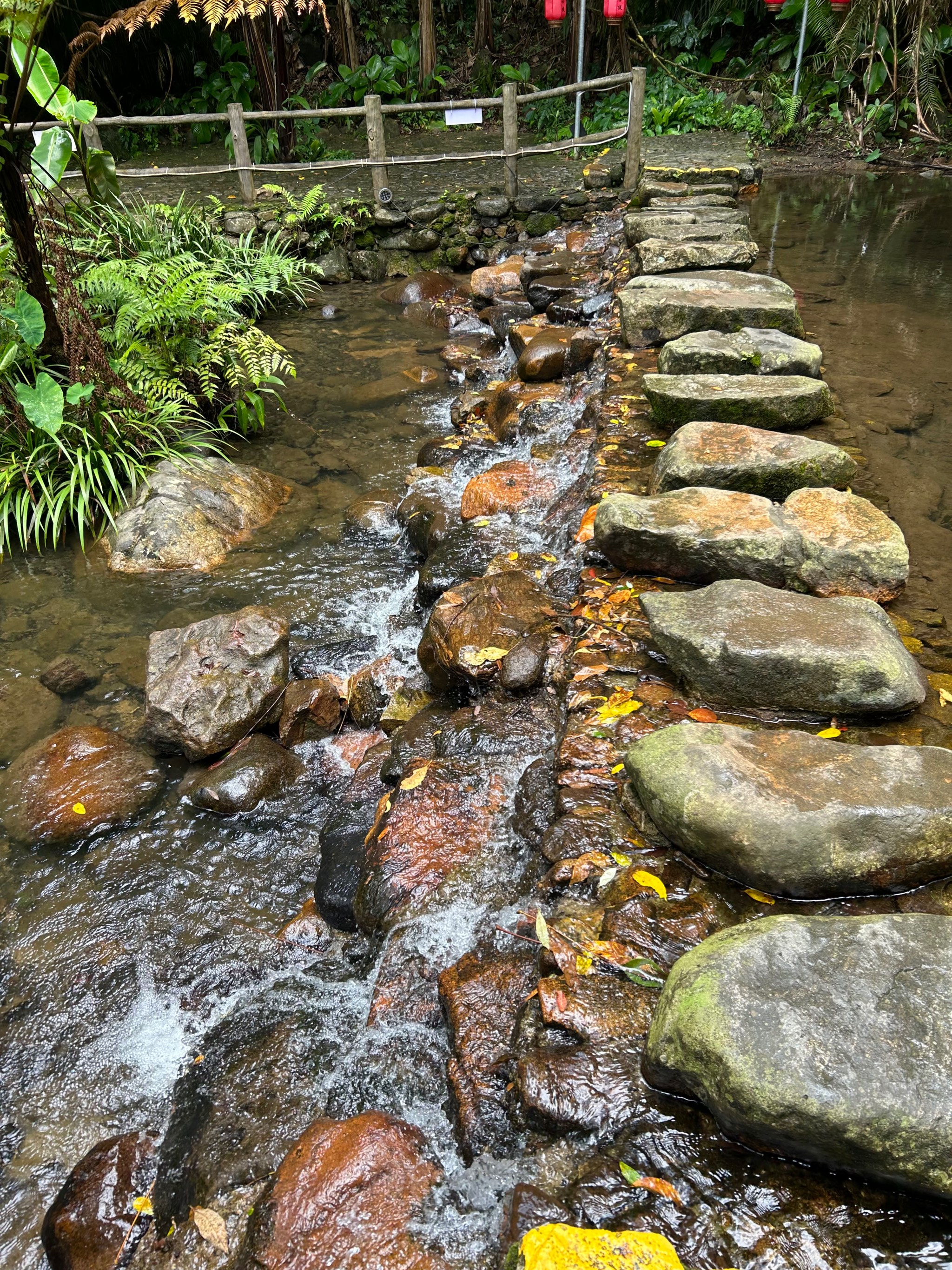 海南琼中百花岭风景区图片