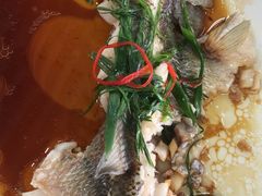 -景好海鲜餐厅(大鹏必选旅游店)