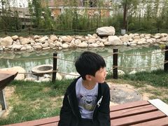 -茯茶镇