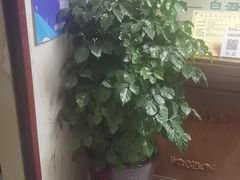 -康乐缘盲人按摩(皂君庙店)