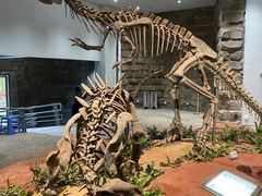 -自贡恐龙博物馆