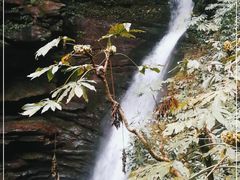 -碧峰峡风景区