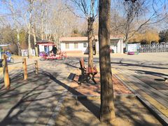 -朝阳公园游乐园