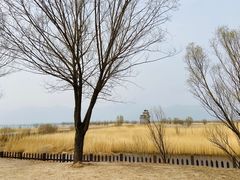 -野鸭湖国家湿地公园