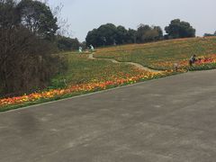 -保利石象湖景区