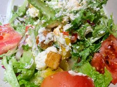 希腊沙拉-机器人火炉披萨