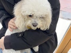 -瑞康宠物医院·犬猫牙科·异宠专科·转诊诊疗中心(劳卫路店)