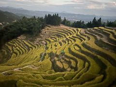 -紫鹊界梯田景区
