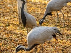 -艾溪湖湿地公园