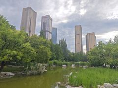 -大望京公园