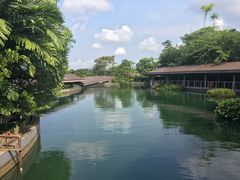 -河川生态园