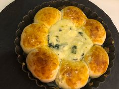 -百好乐宠物友好餐厅(朝外大街店)