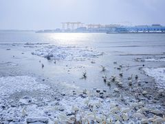 -烟墩角天鹅湖