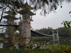 -东湖落雁景区