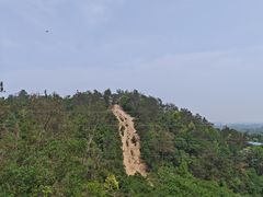 -青龙山国家森林公园