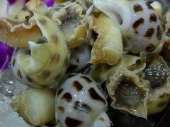 -蚝专家(北滘店)