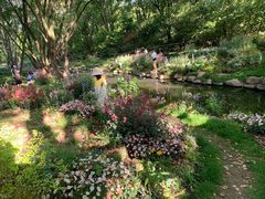 -上海共青森林公园