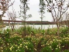 -昆山城市生态森林公园