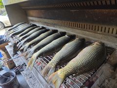 -杨合林啊兰烤鱼